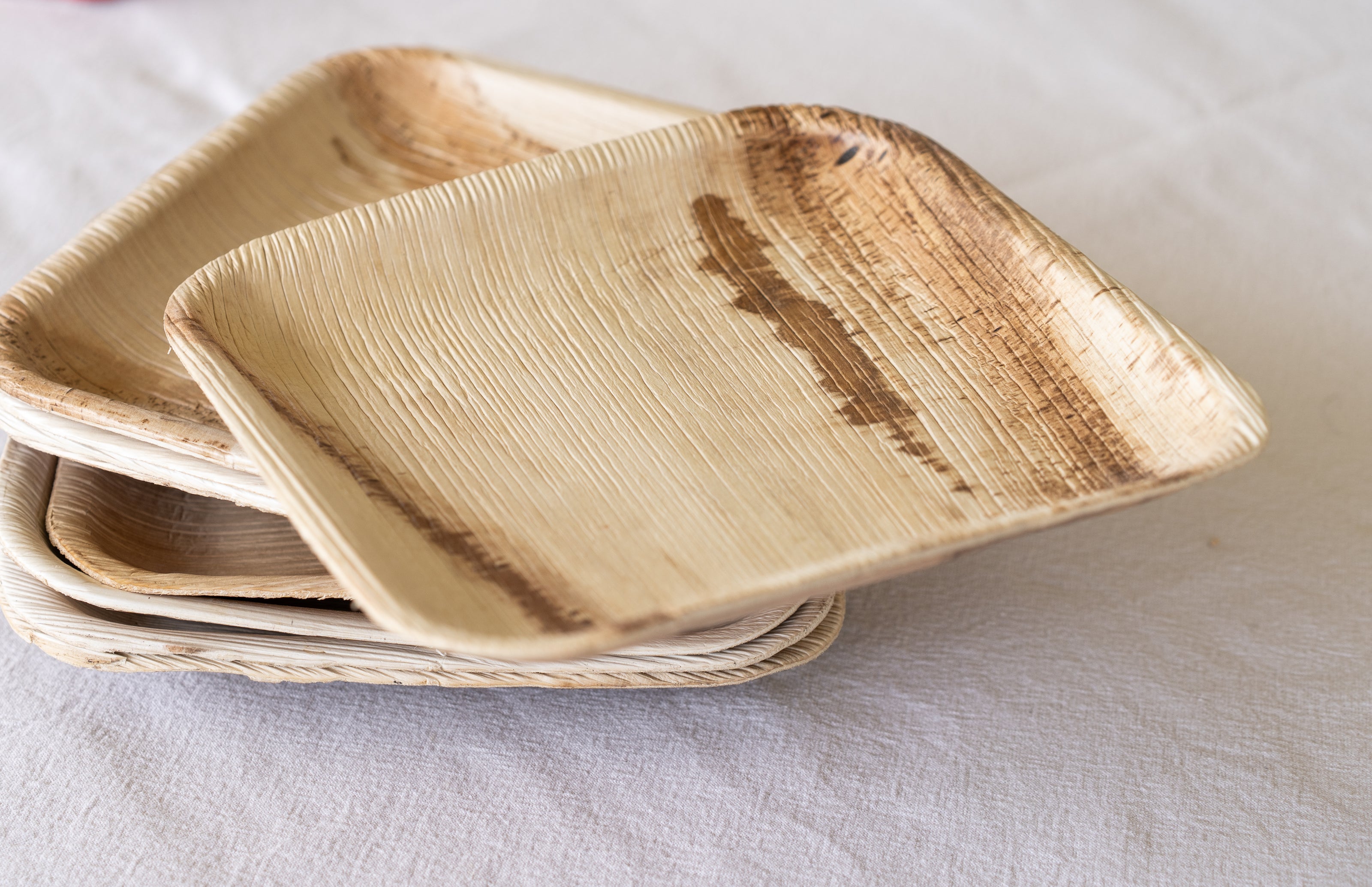 Palm Leaf Plates x10 image 0
